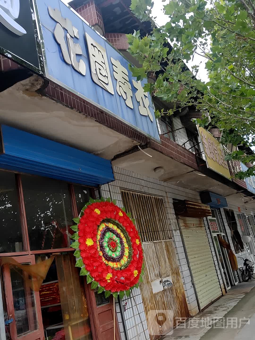 新感觉号造型