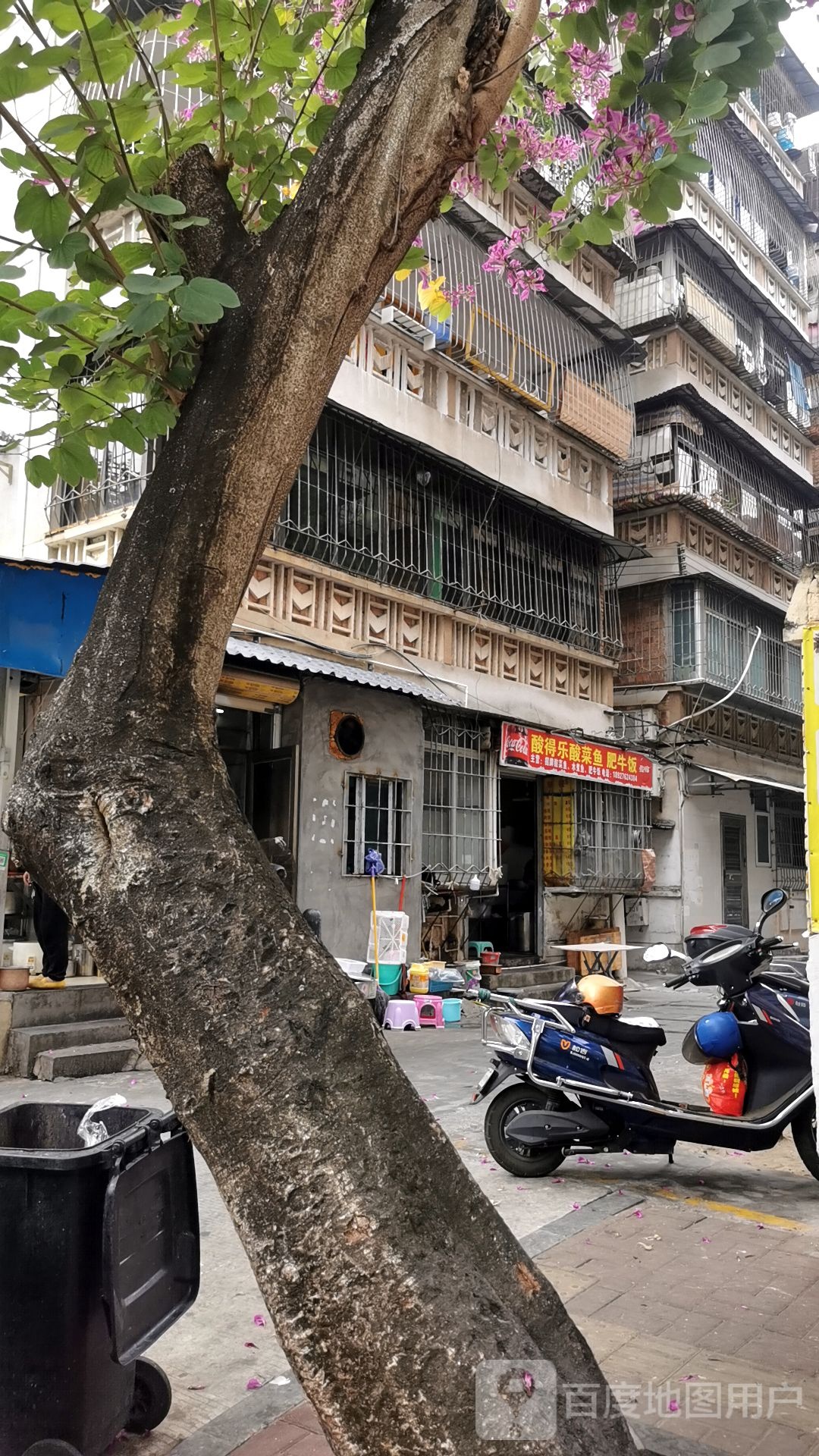 酸得乐酸菜鱼肥牛饭(赤坎店)