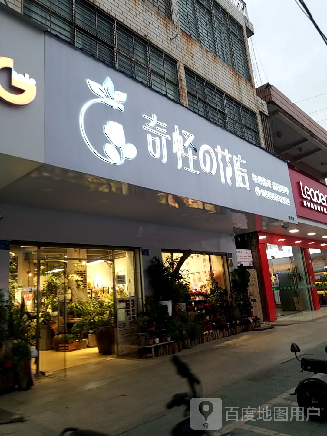 奇怪的花店(新兴店)