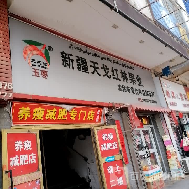 养瘦减肥专门店(兴隆街二楼)