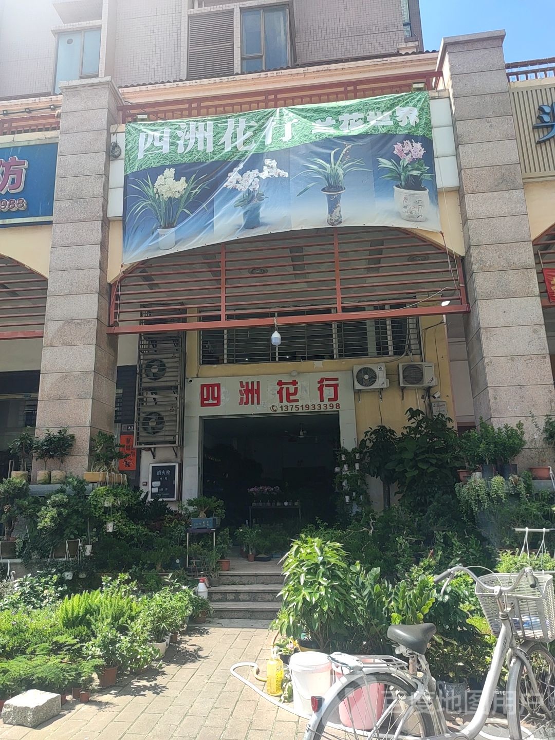 四洲花行