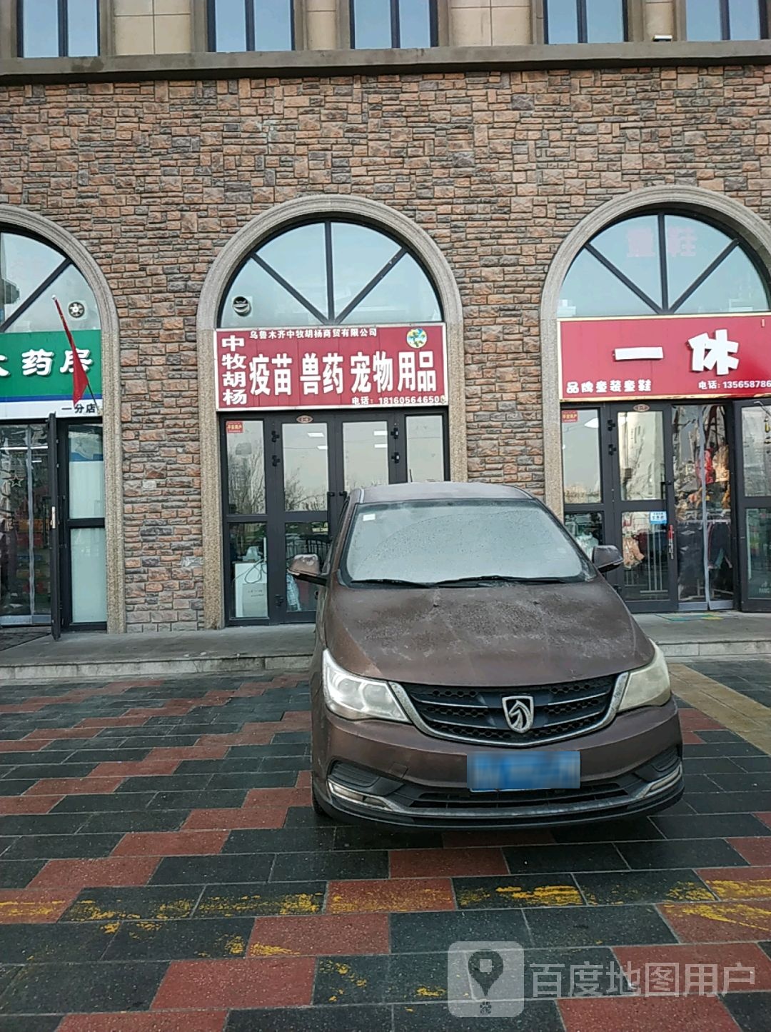 中牧胡杨