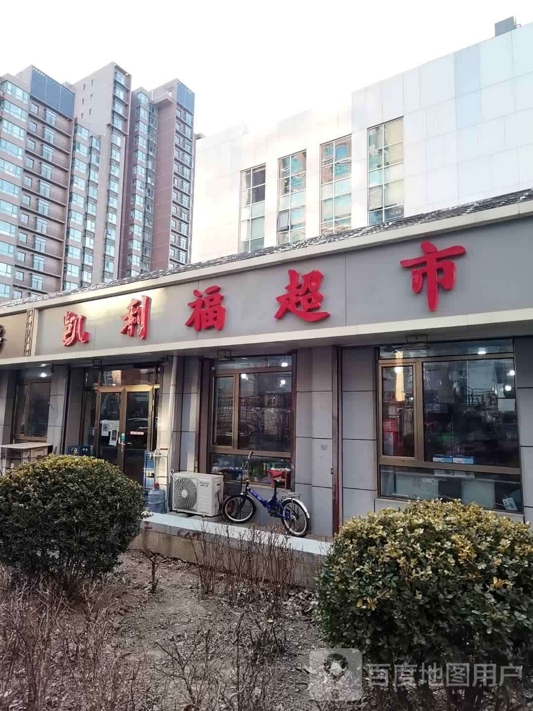 凯利