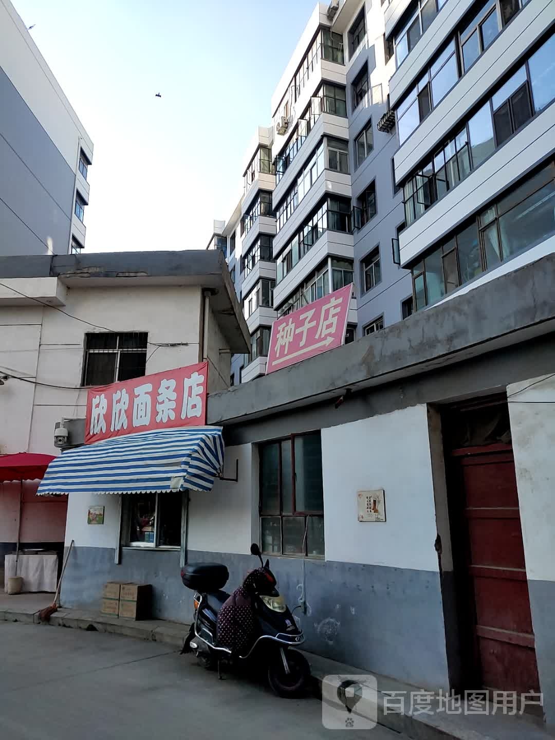 中子店
