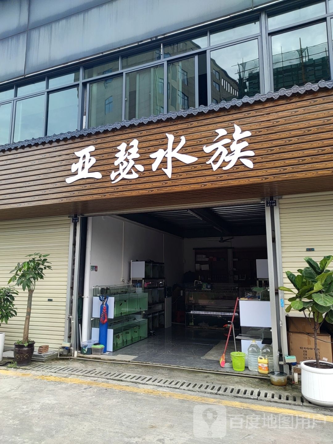亚瑟水族