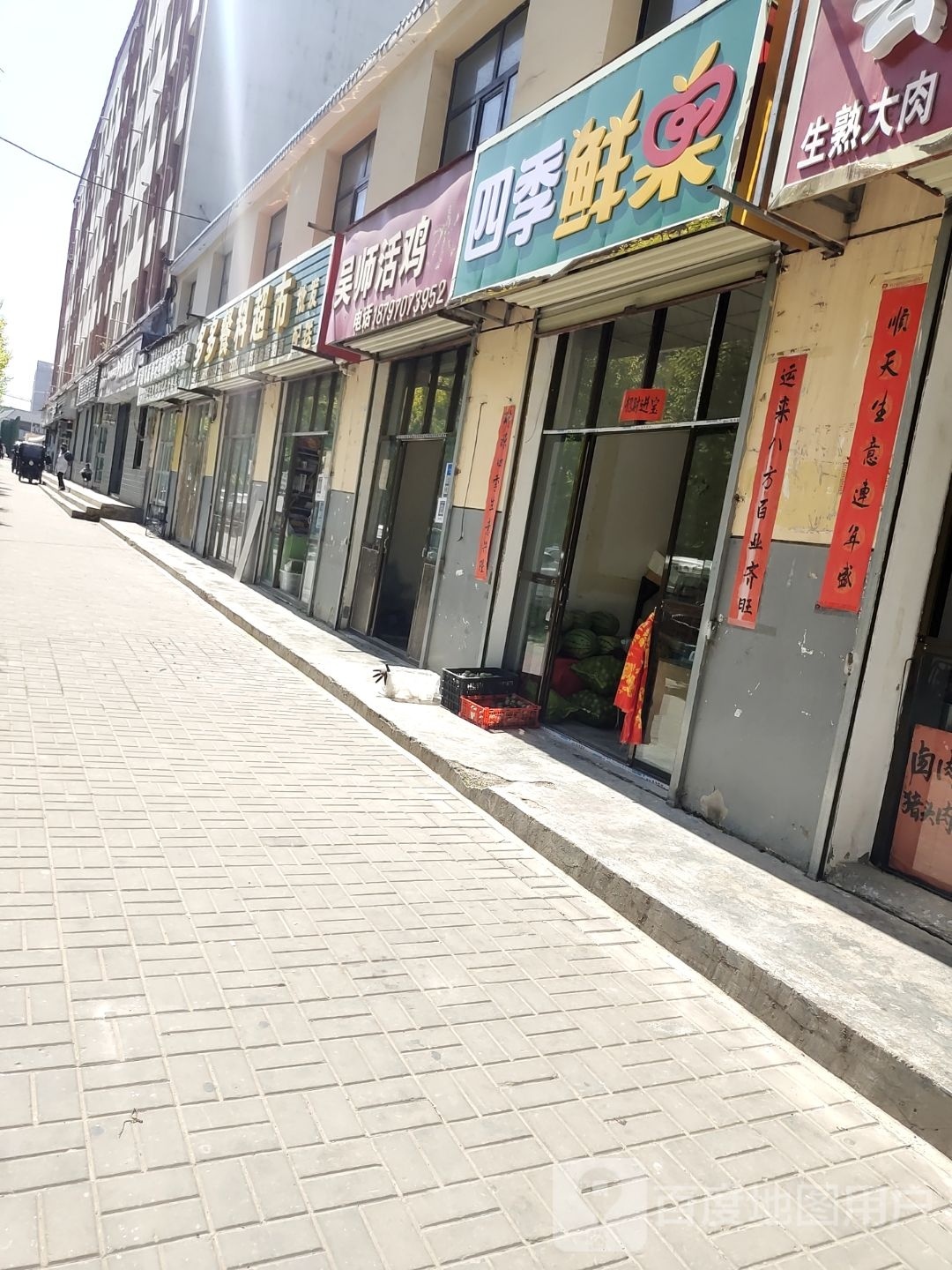 四季邢鲜果