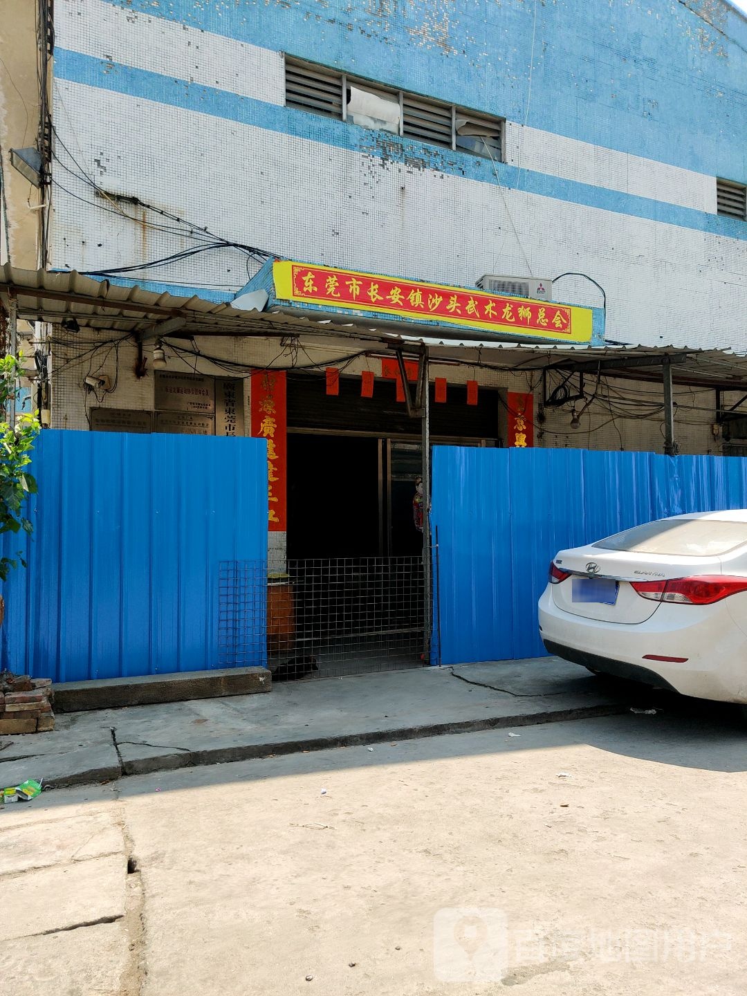 广东省东莞市长安镇沙头武术龙狮团