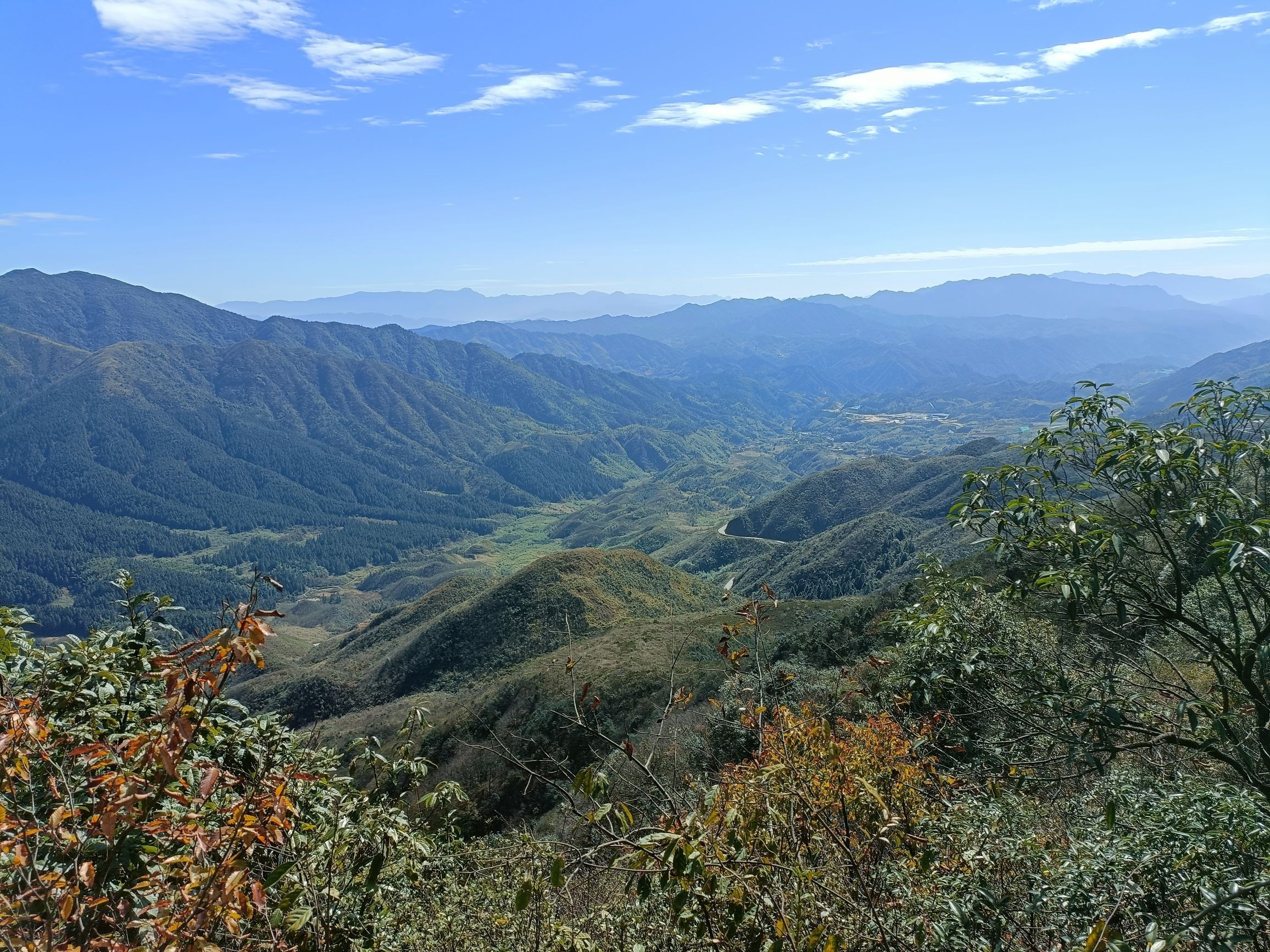 南山牧场