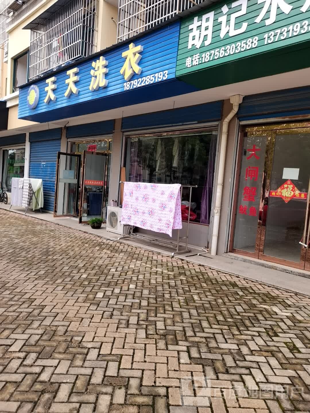 天天洗衣