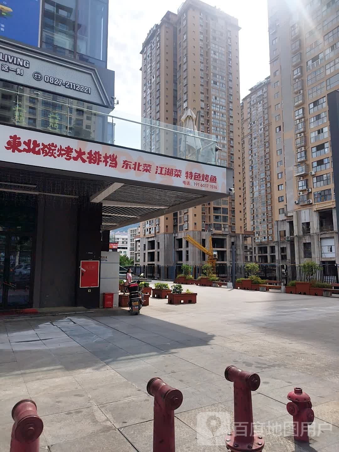 东北特色铁锅炖大鹅