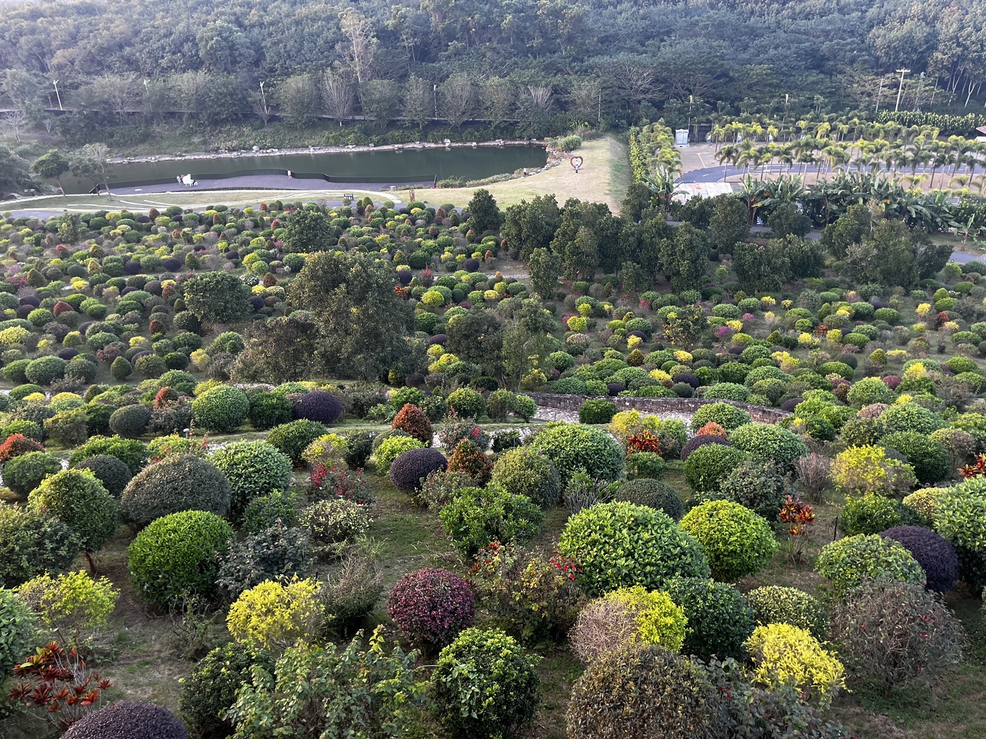 云舍松涛海南中国村