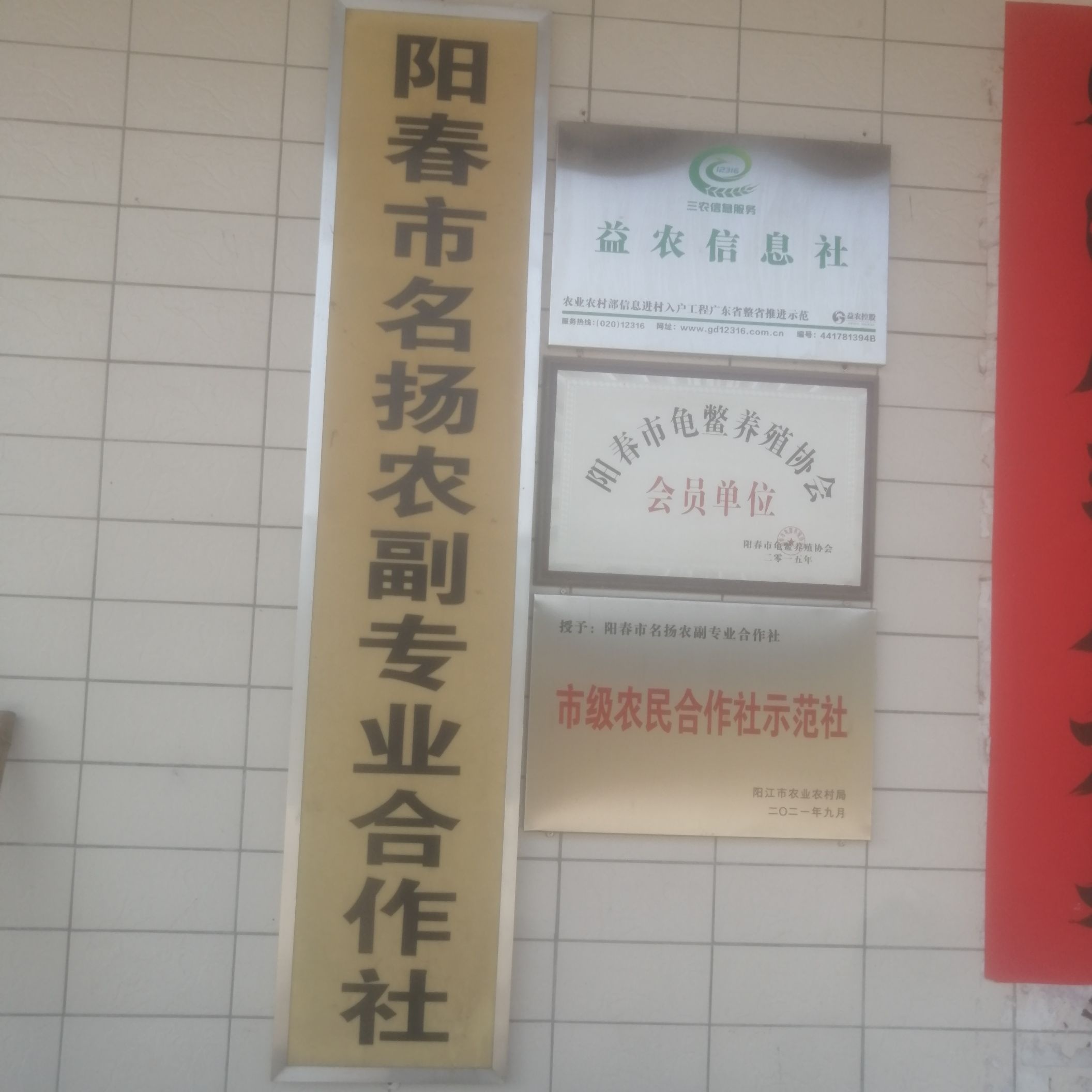 阳春市名扬农副专业合作社