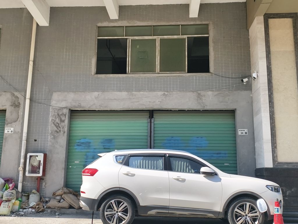 深圳市宠物市场(猫狗一条街)