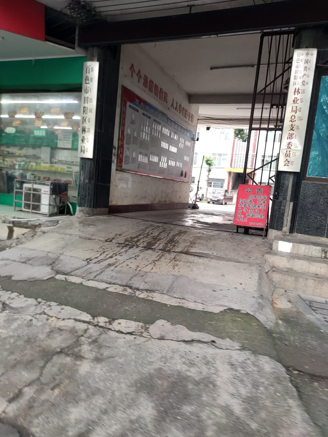 中国共产党广西壮族自治区百色市田阳区林业局总支部委员会