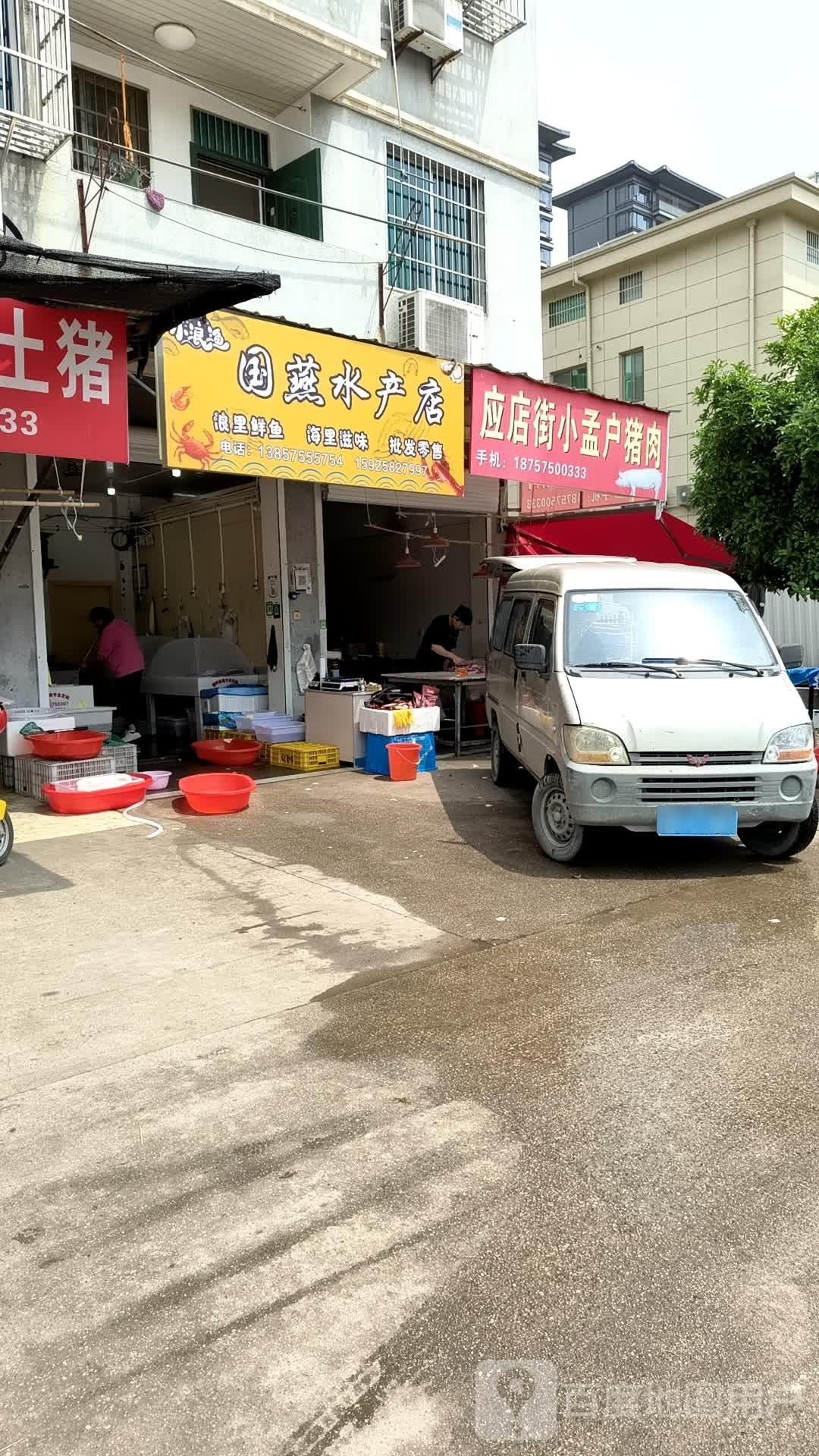 国燕水产店