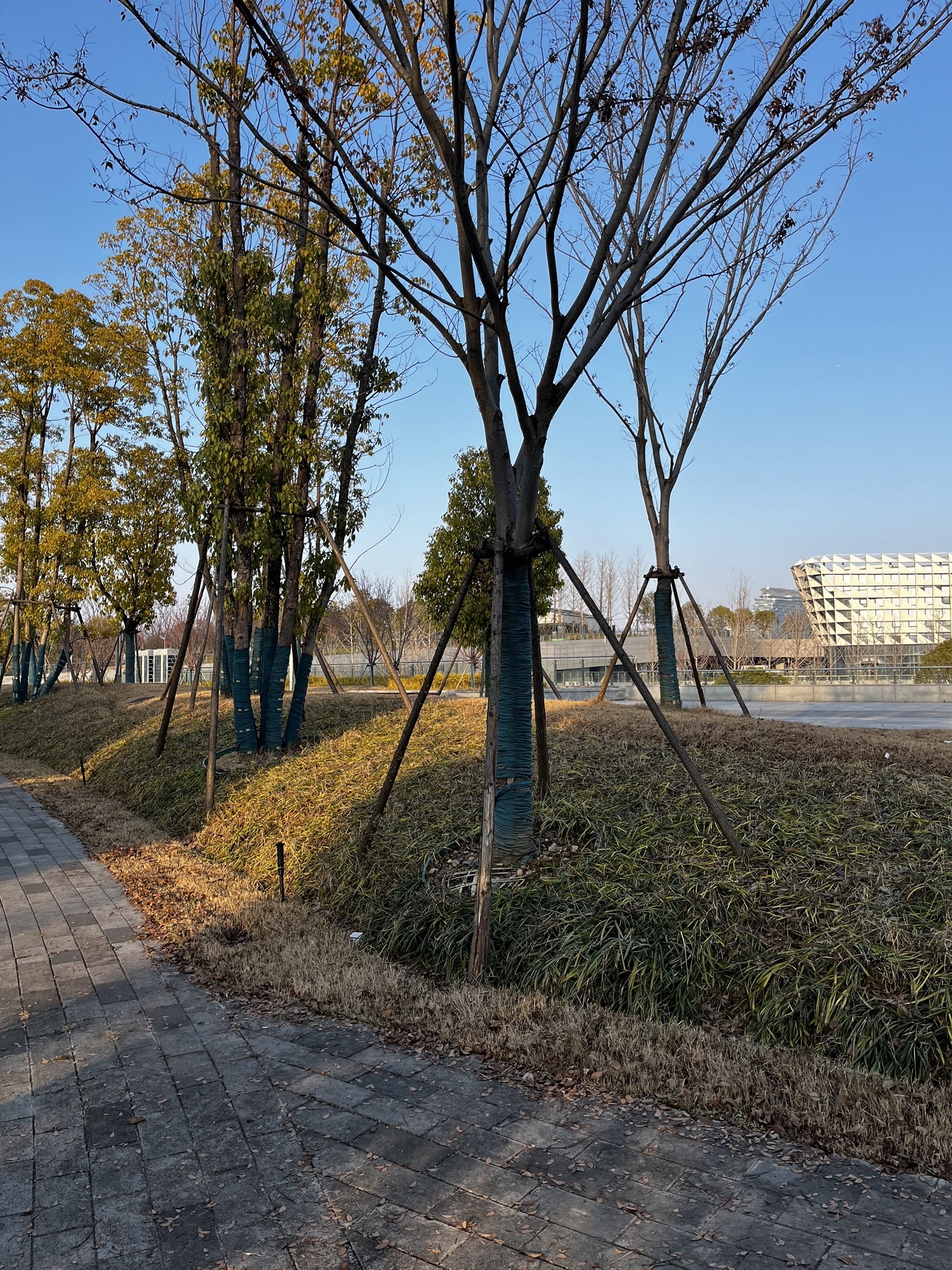 长沙黎托生态公园