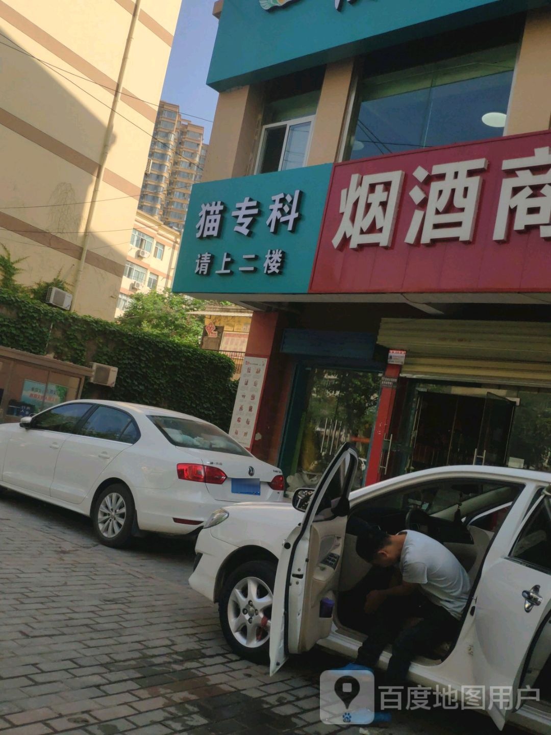 猫专科(彩虹一路店)