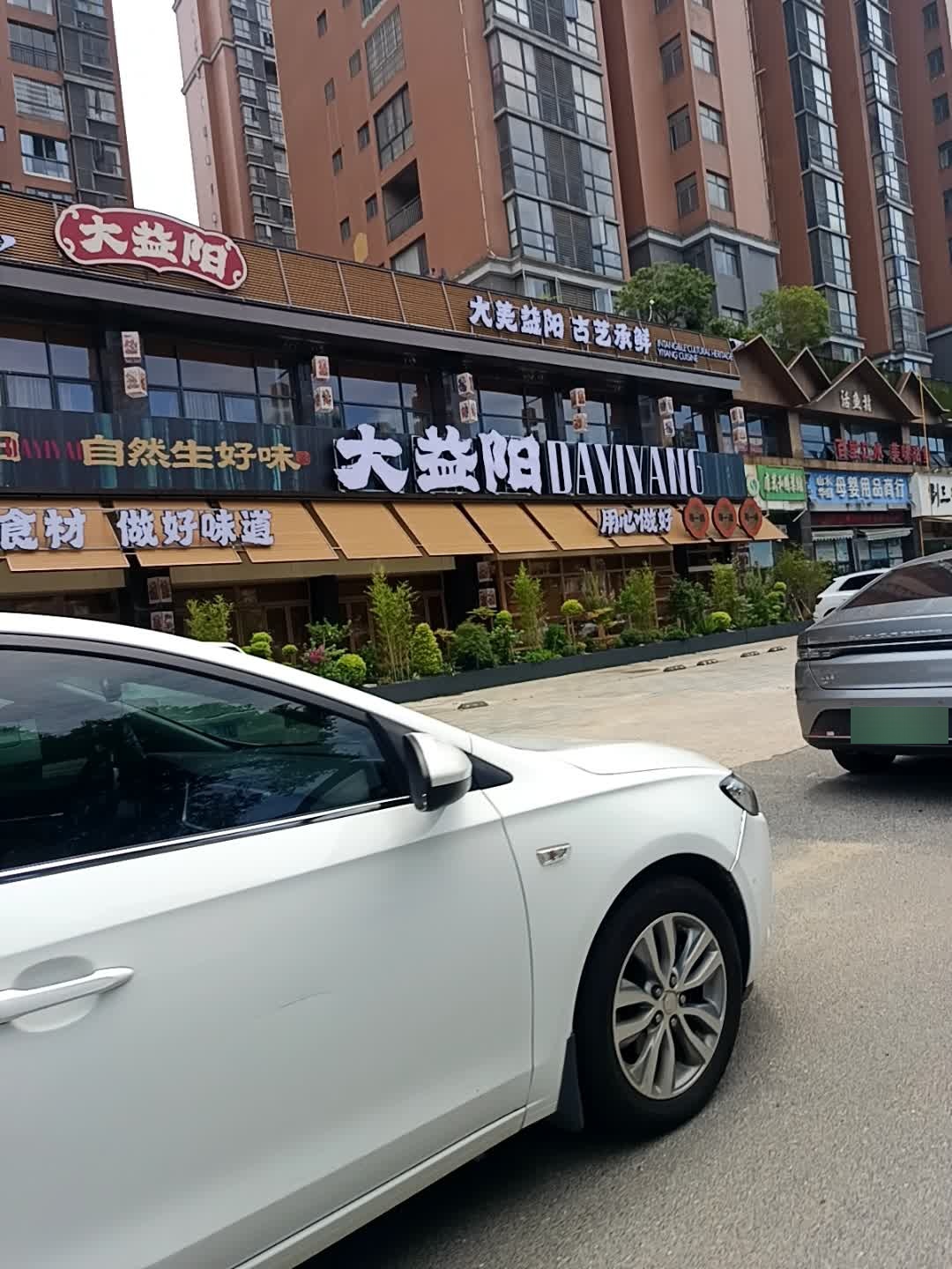 大益阳.益阳菜