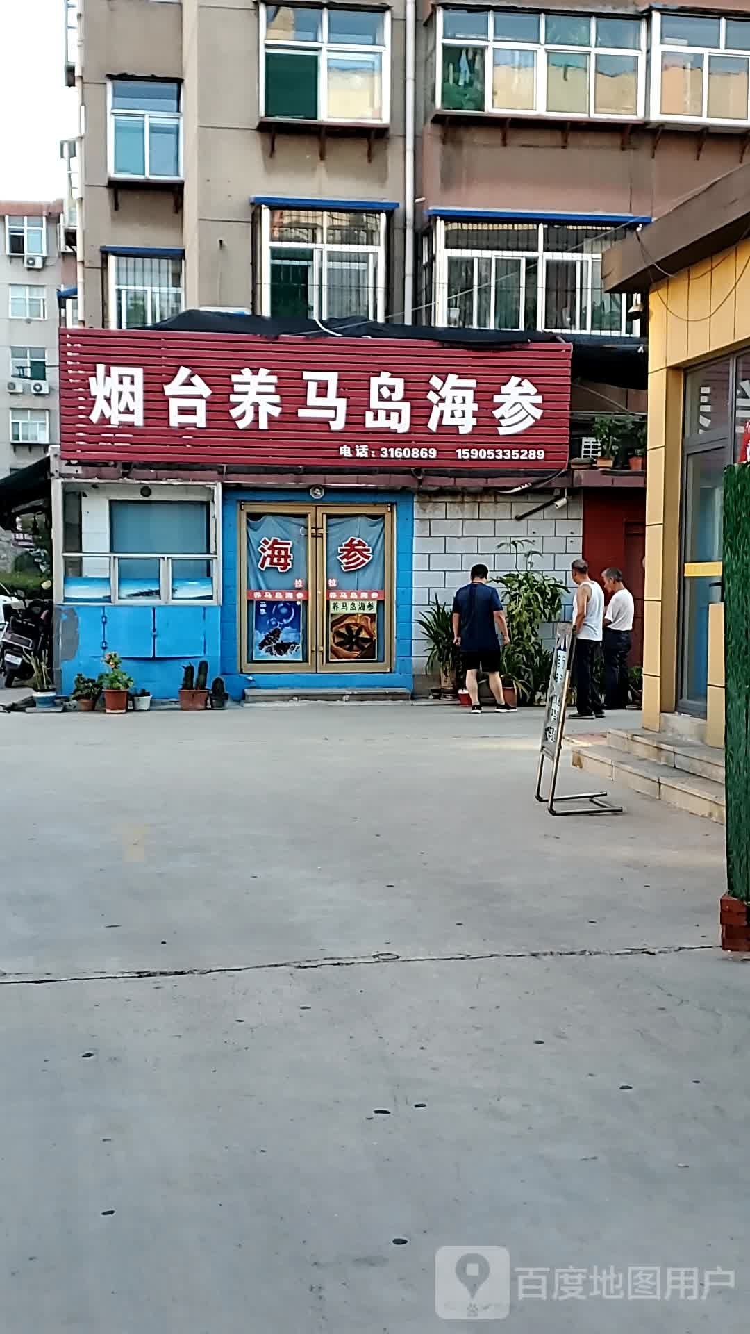 烟台养马岛海参