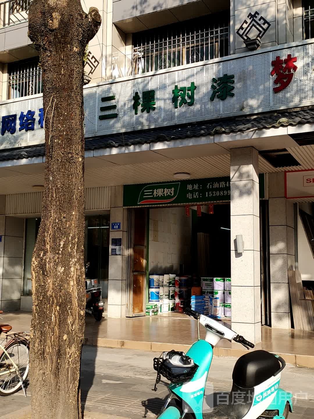 三棵树漆(石油路店)