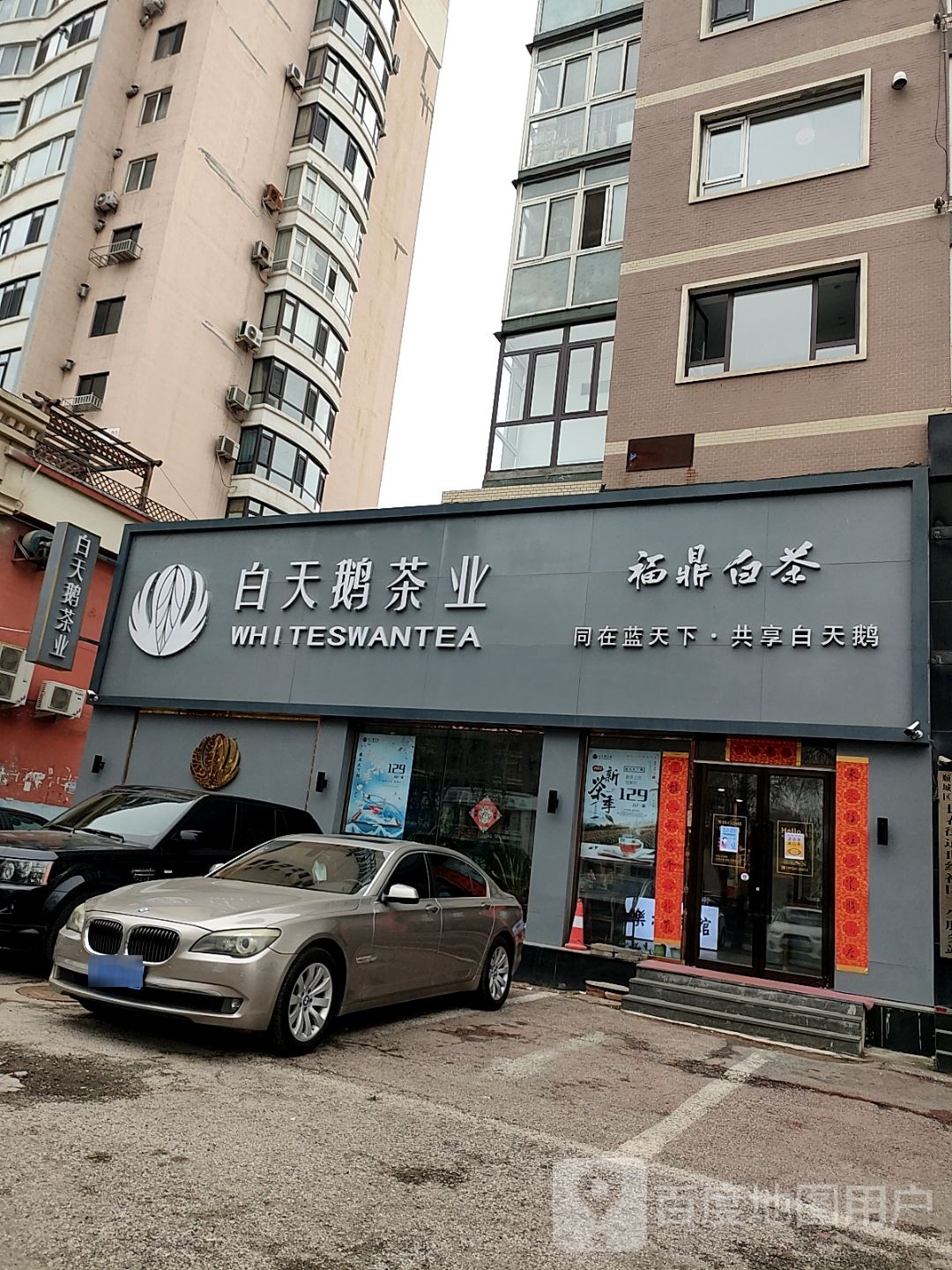 福鼎老白茶(临江东路店)