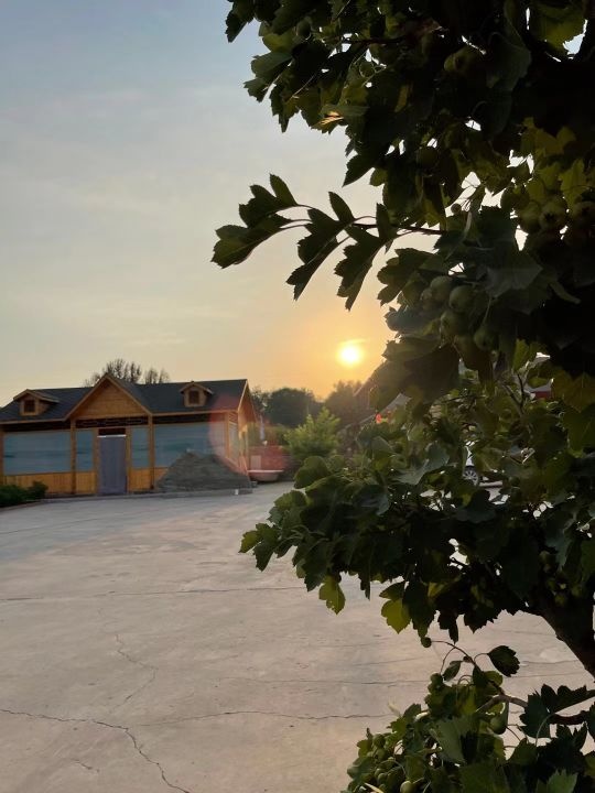忻州跤园