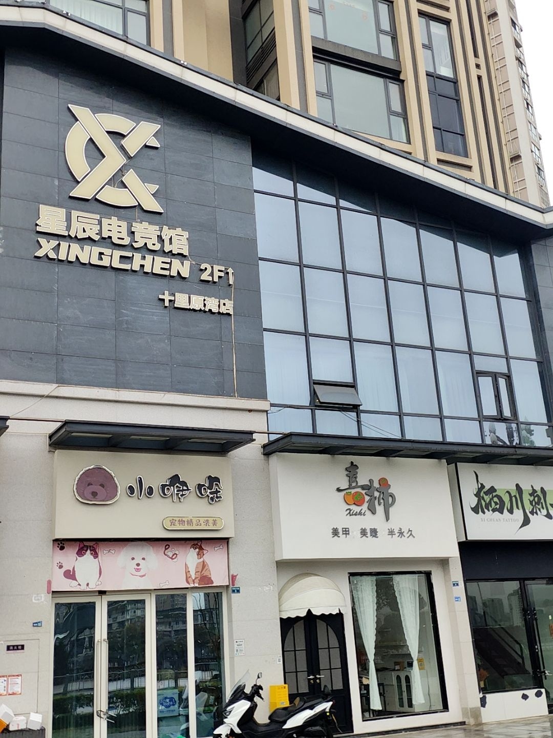 小咿哚宠物精品洗美