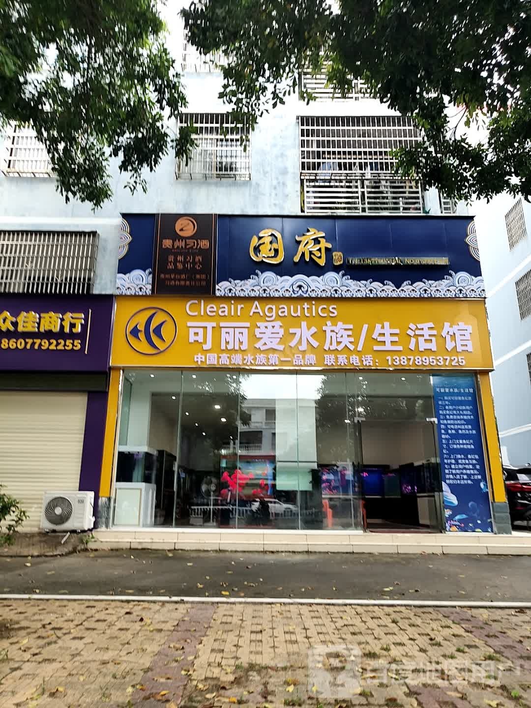 可丽爱水族生活馆(万和二支路店)