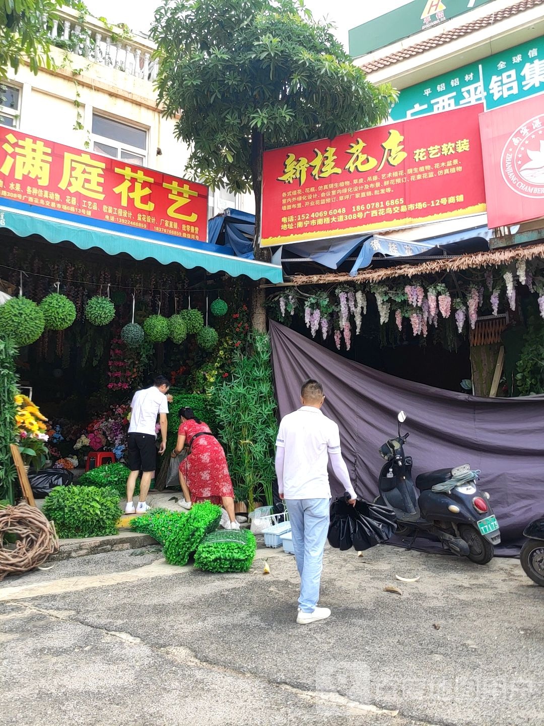 新桂花卉经营部