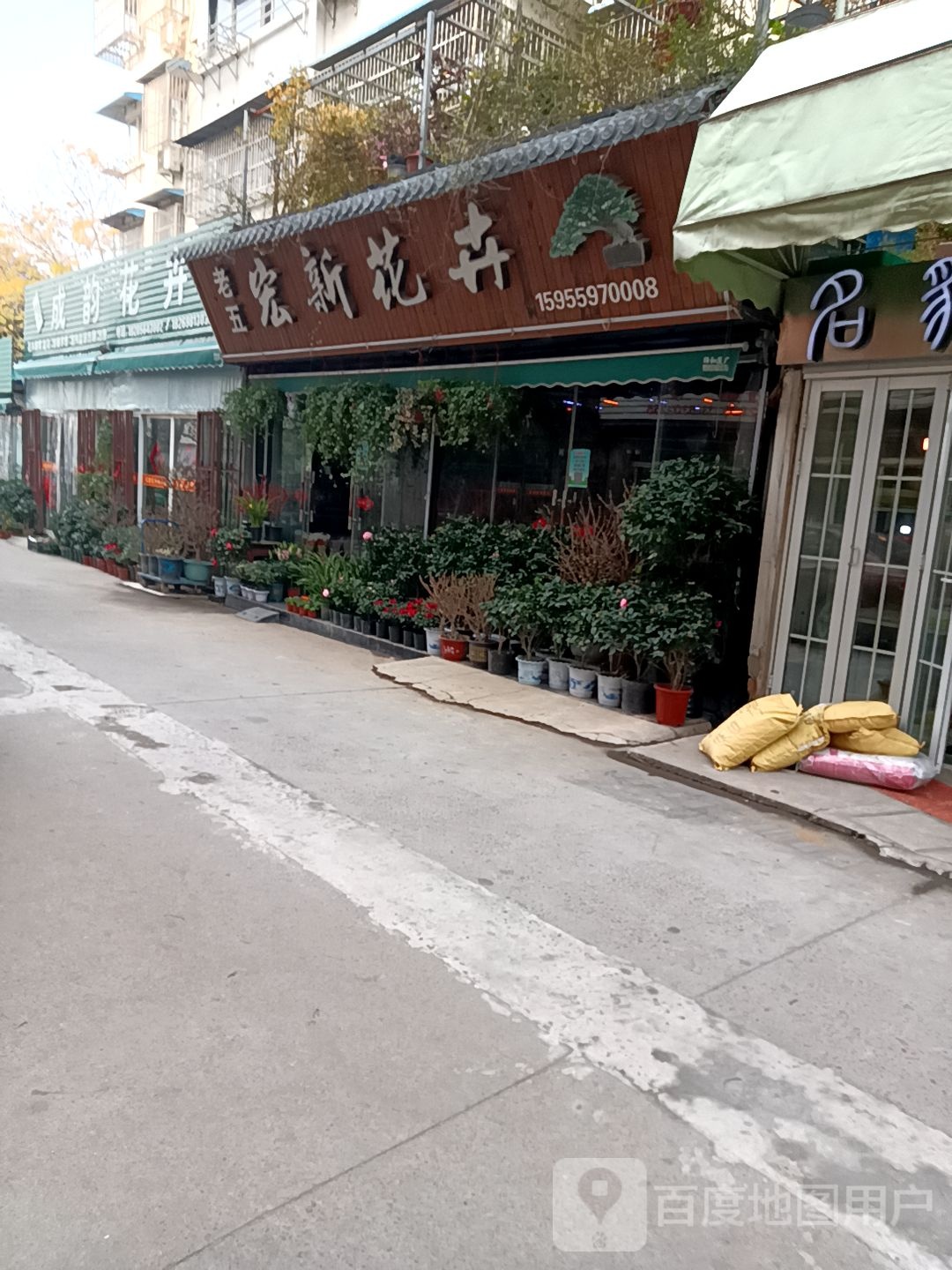 老五宏新花卉(锦江苑店)
