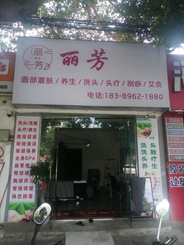 丽芳