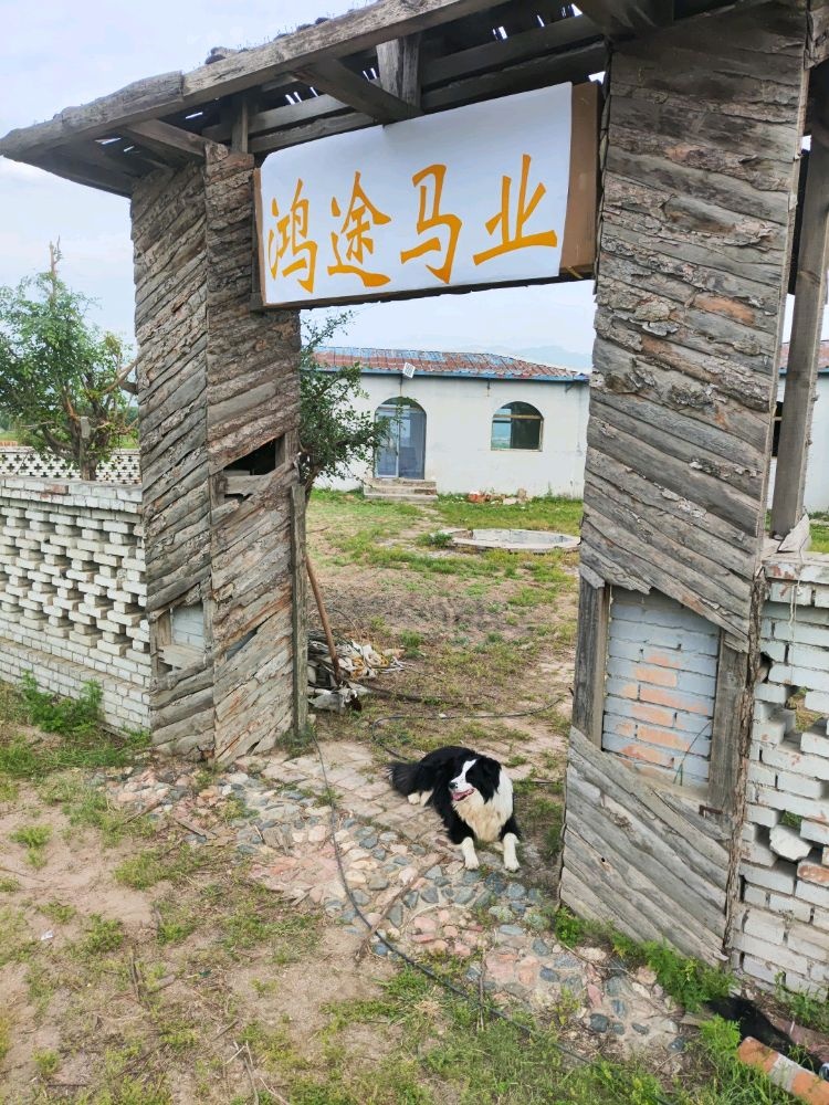 鸿途马业