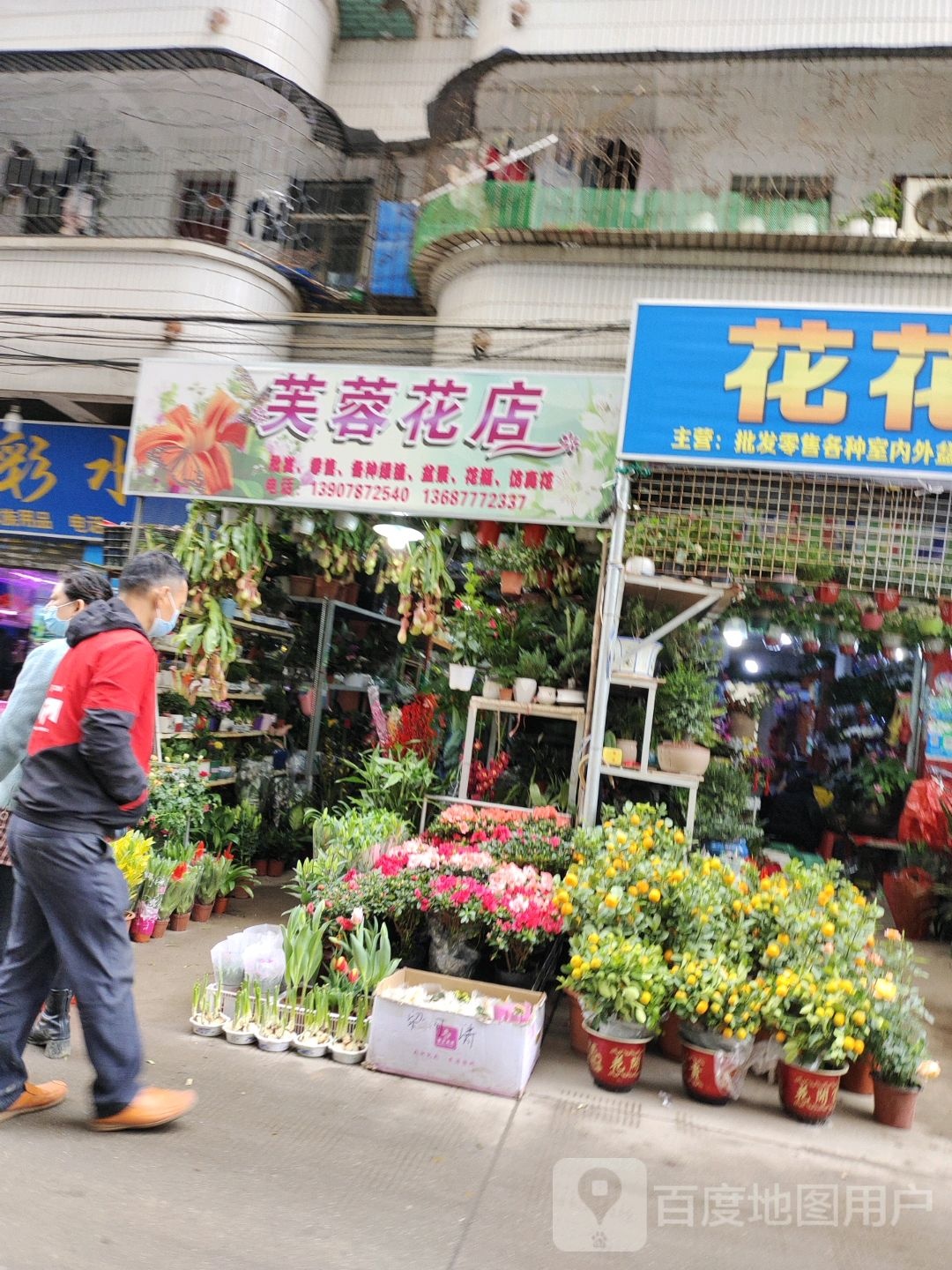 芙蓉花店(白沙路店)