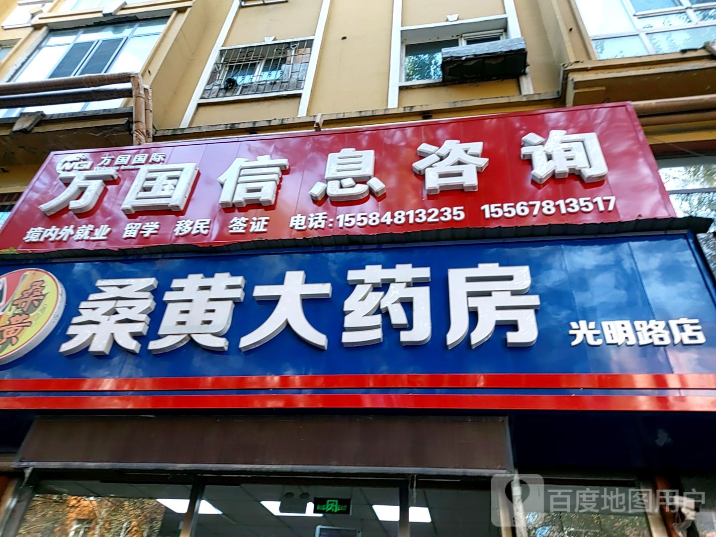 桑黄大药房(光明路店)