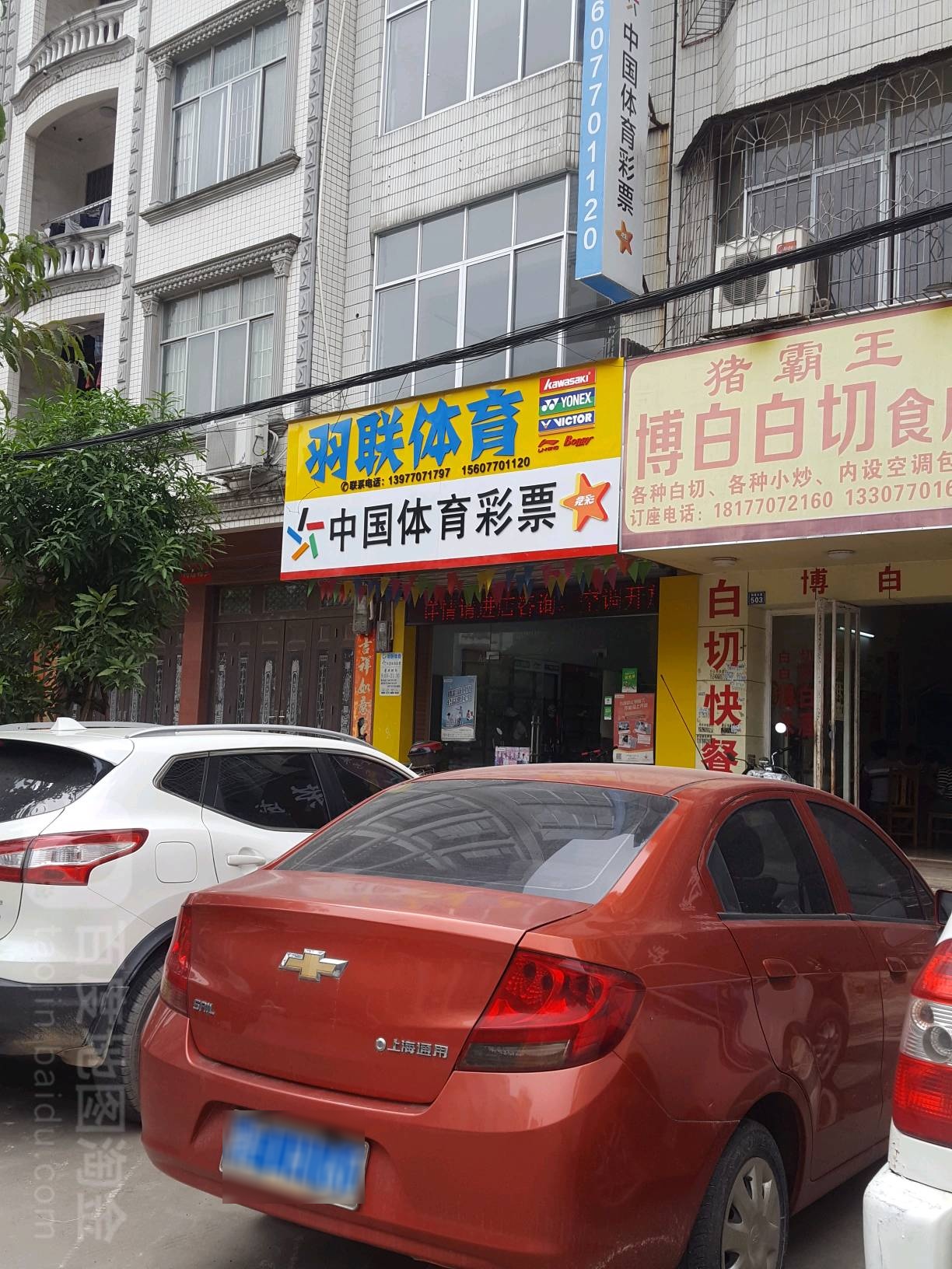 羽联体育