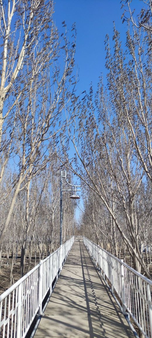 绿化园地