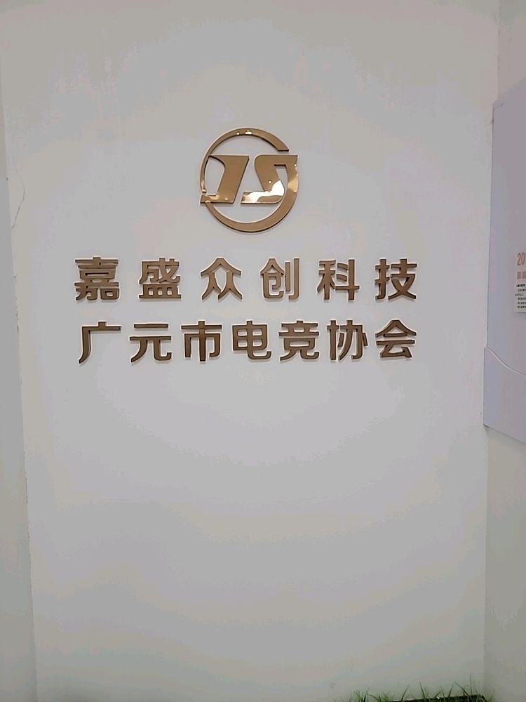 广元市电子竞技运动协会