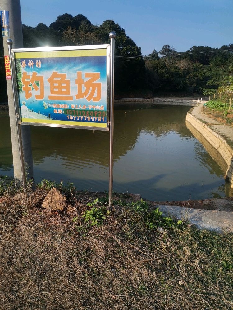 茅针钓鱼场
