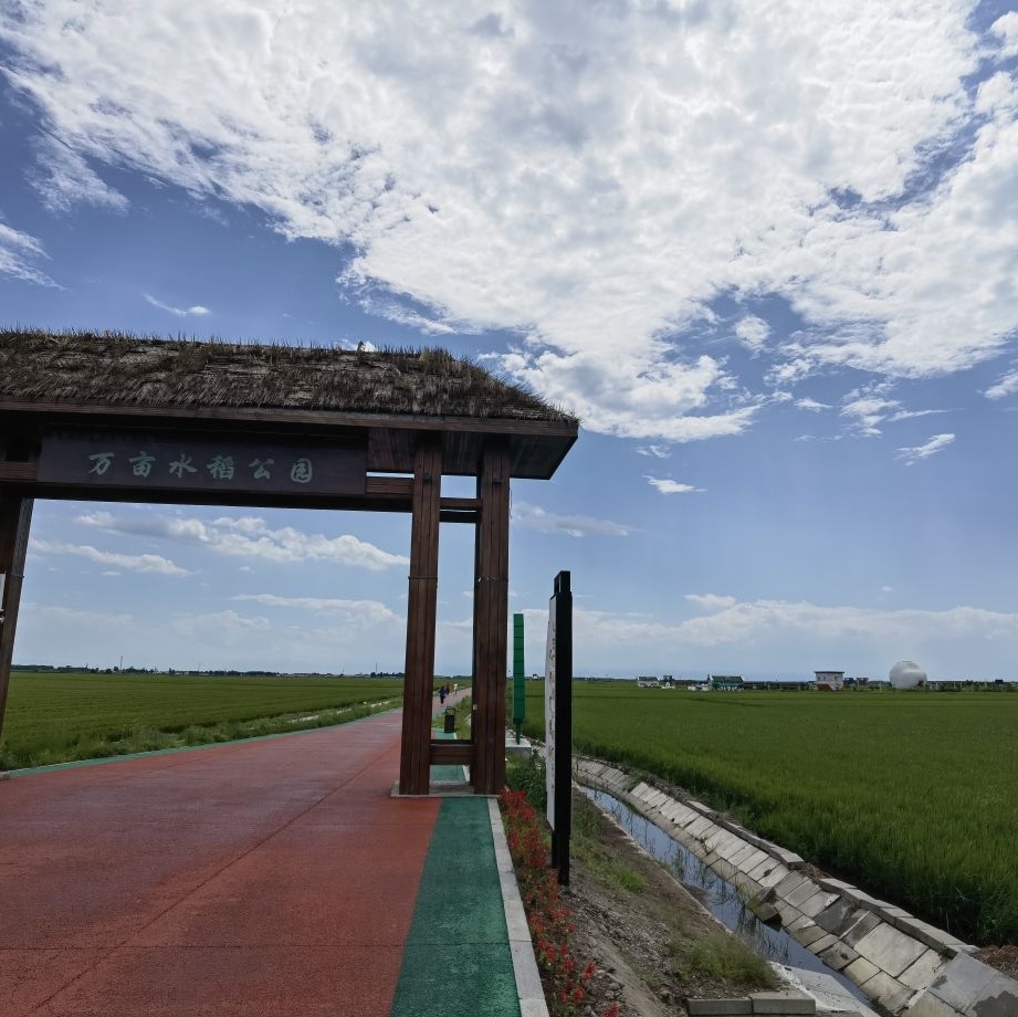 富锦万亩水稻公园
