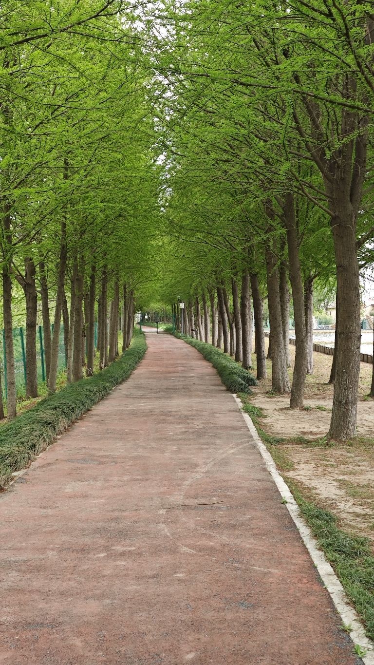 上海永丰艺术田园景区