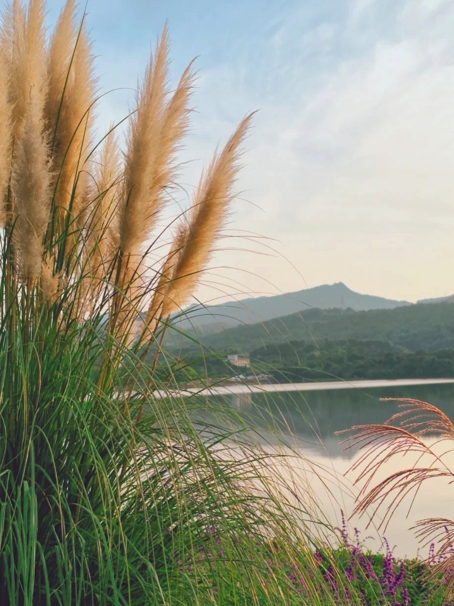 花连湖风景区