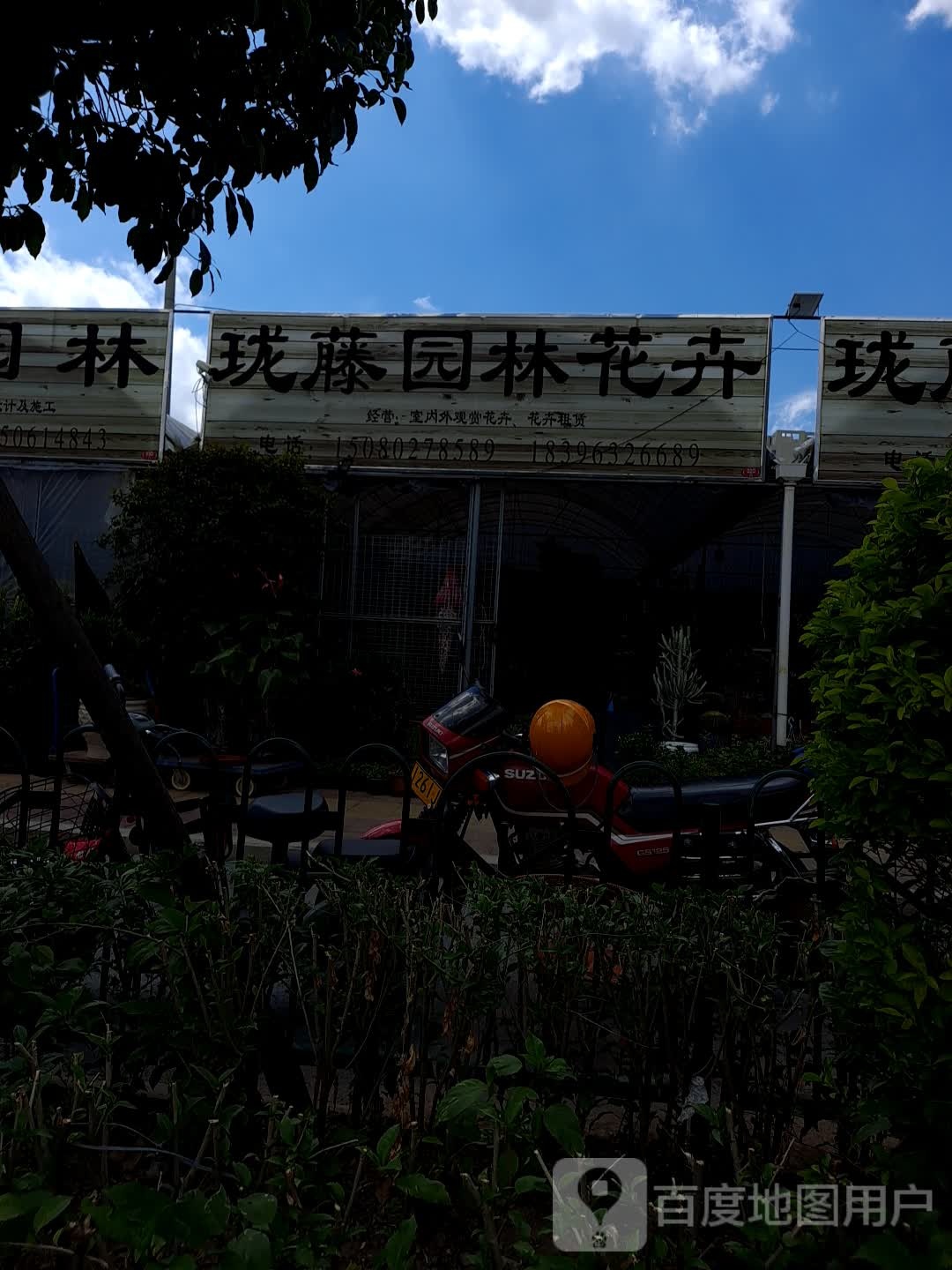 珑藤园花木卉