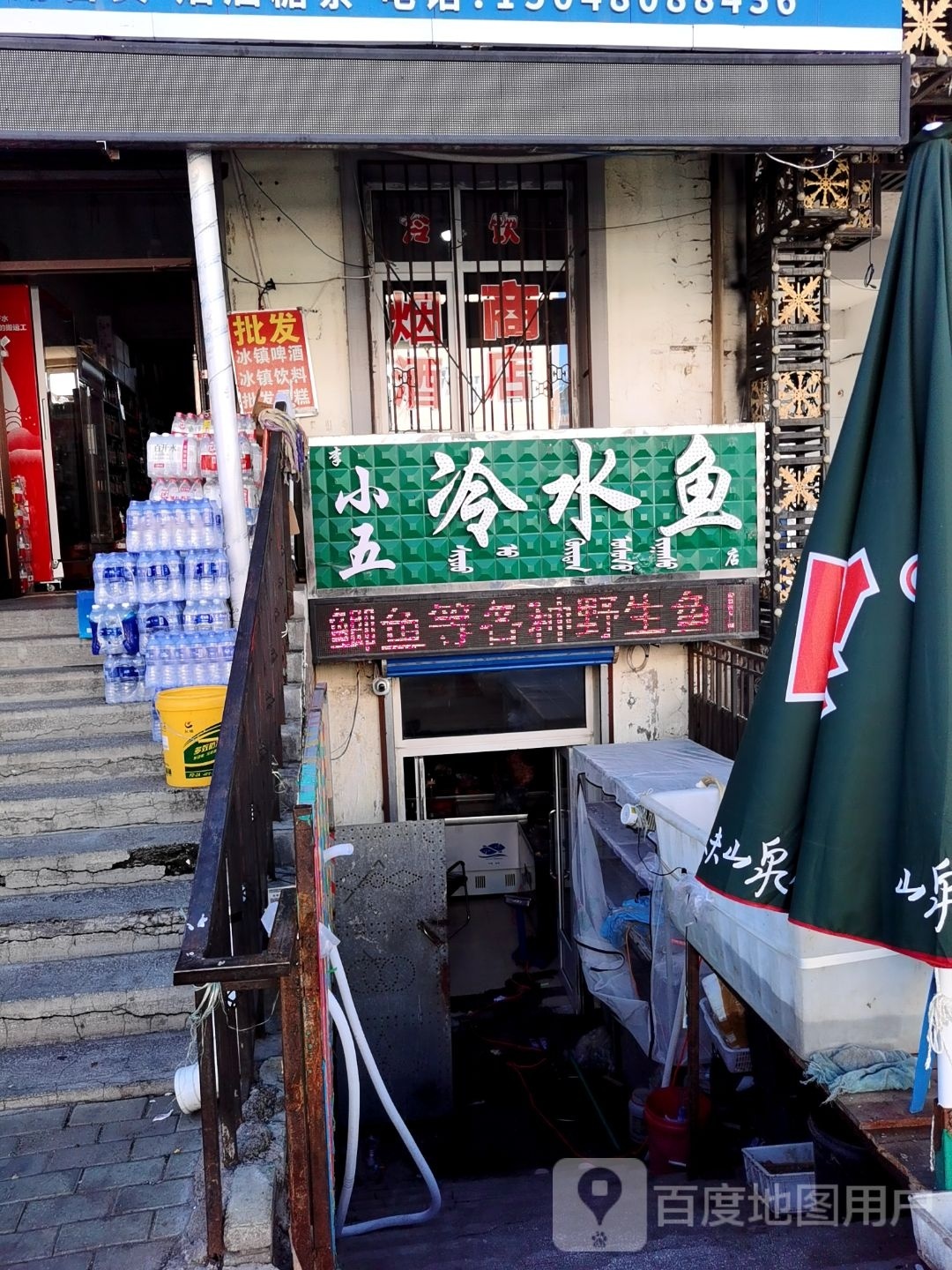 小五冷水鱼