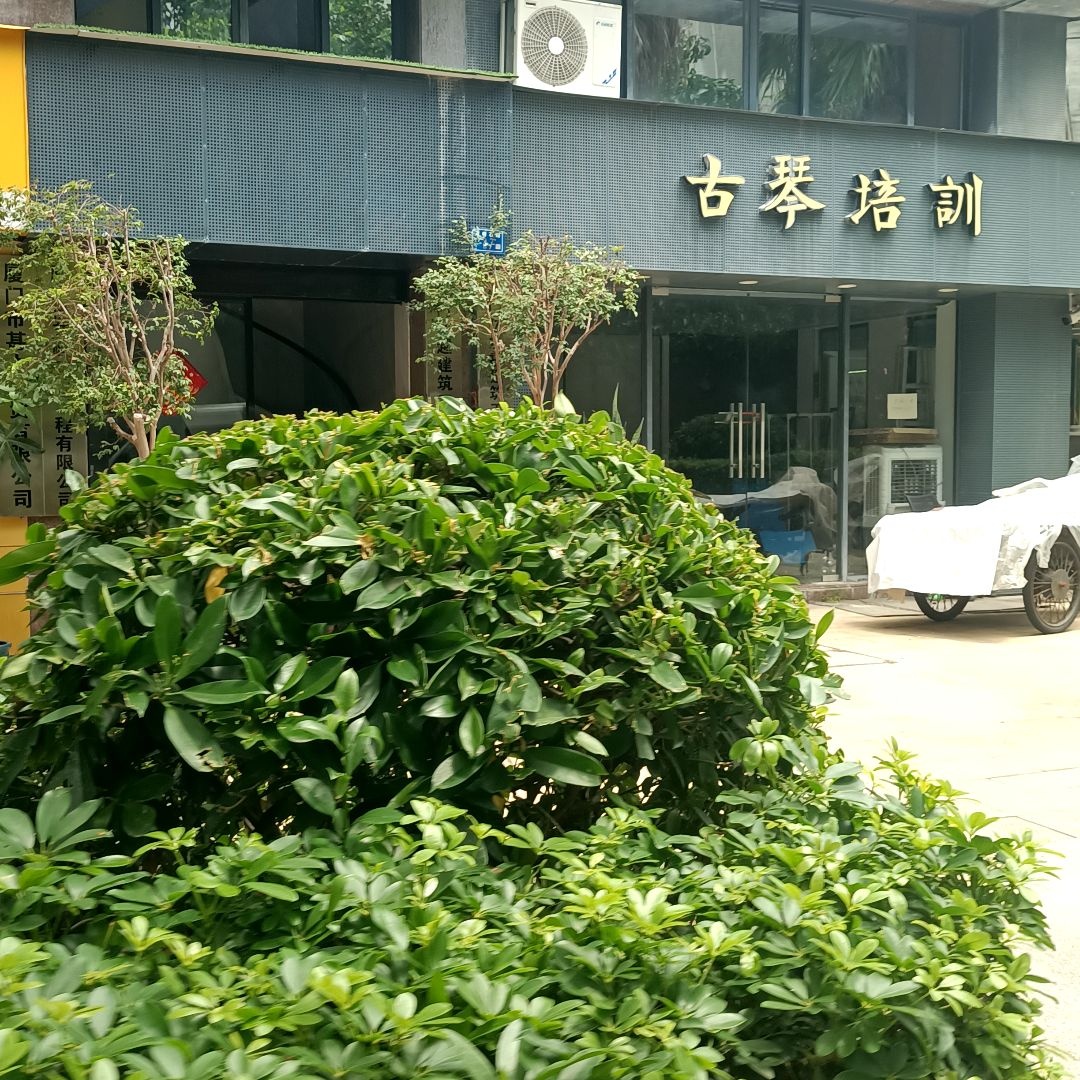 终南书院(古琴培训)