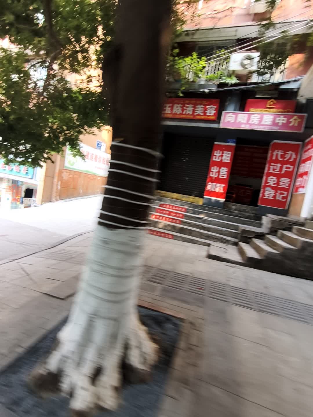 向阳房屋中介