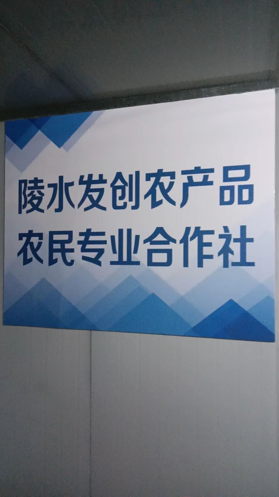 陵水发创农产品农民专业合作社(小符水果收购点)
