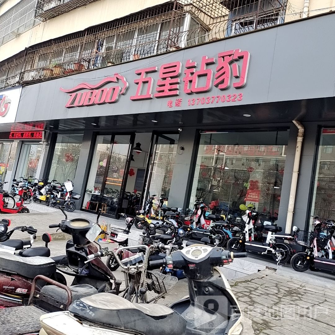 五星钻豹电动车(北京北路店)