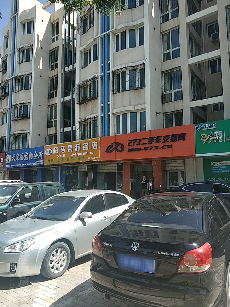 犬家福宠物诊所(上海西路店)