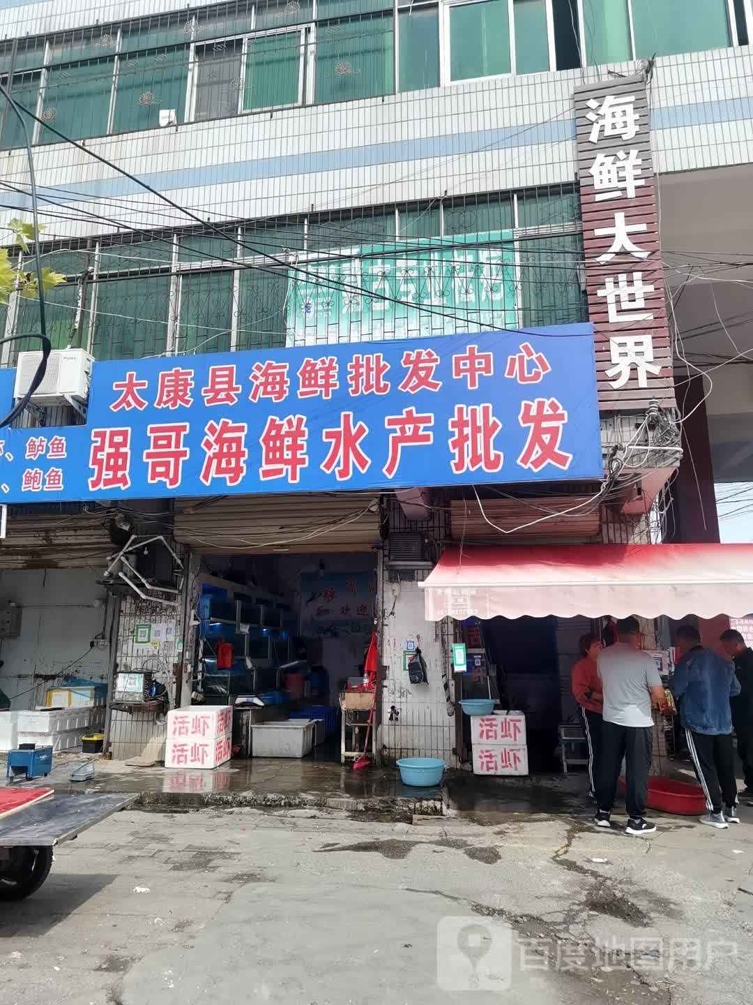 强哥海鲜批零