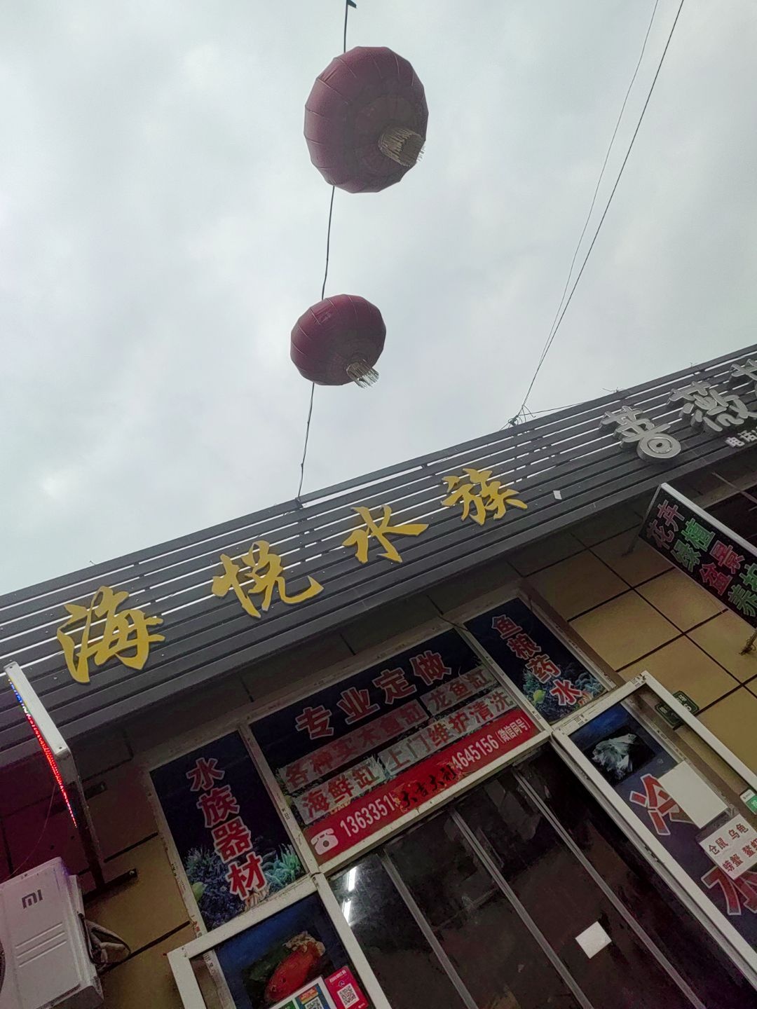 海悦水族